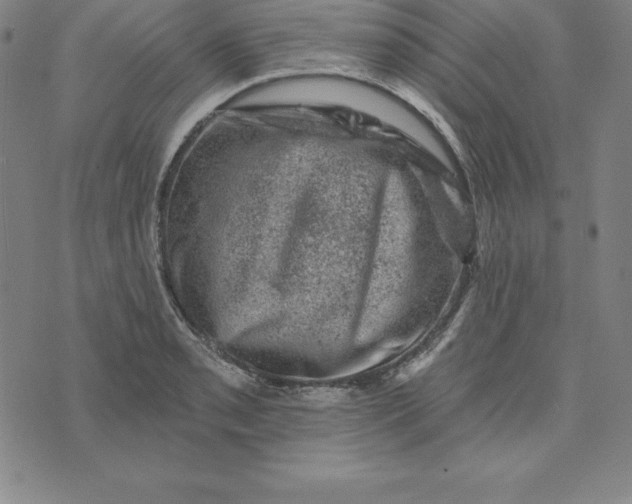 X0000074041085200609111733