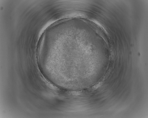 X0000074041086200609111733