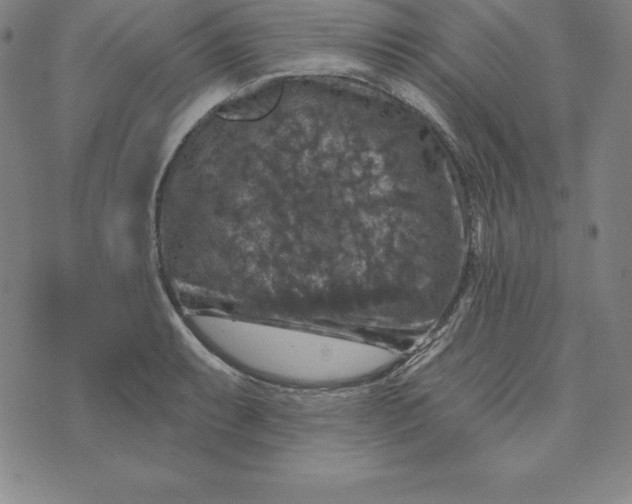 X0000074041087200609111733