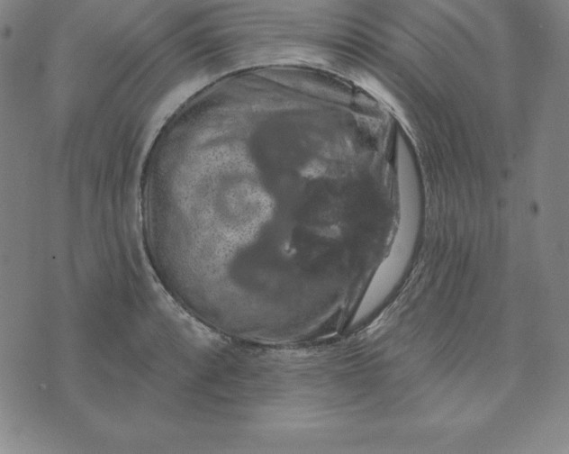 X0000074041088200609111733