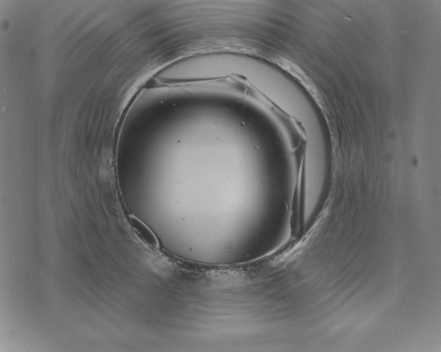 X0000074041089200609111733