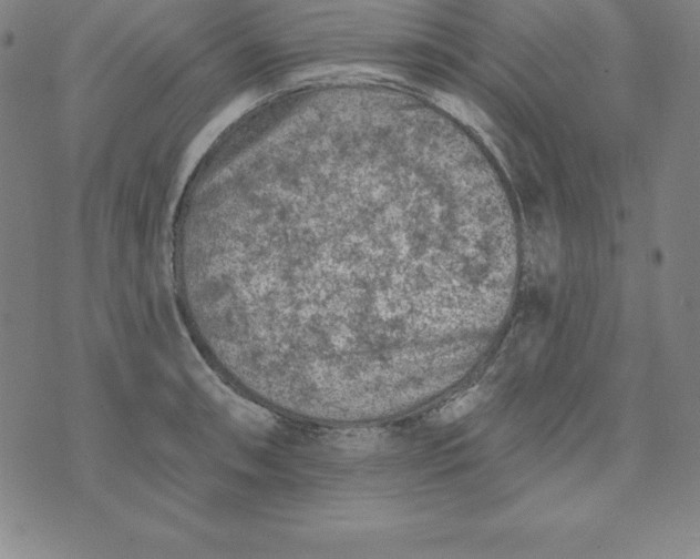 X0000074041090200609111733