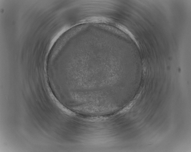 X0000074041091200609111733