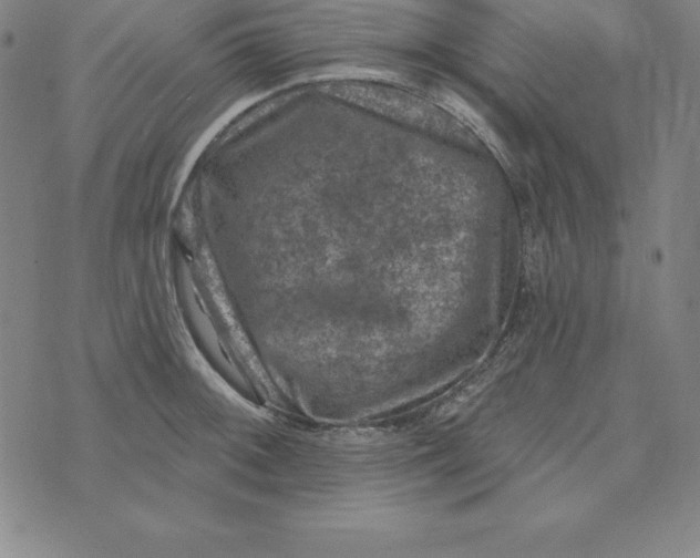 X0000074041092200609111733