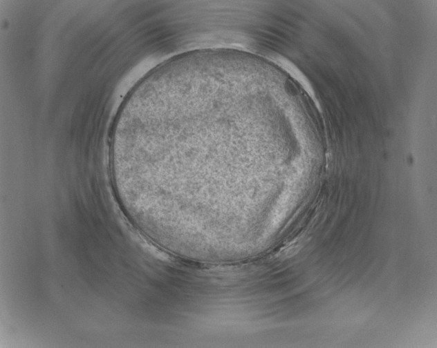 X0000074041096200609111733