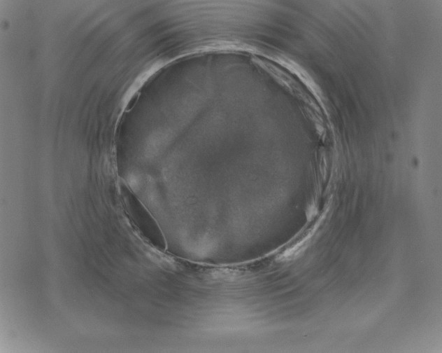 X0000074041097200609111733