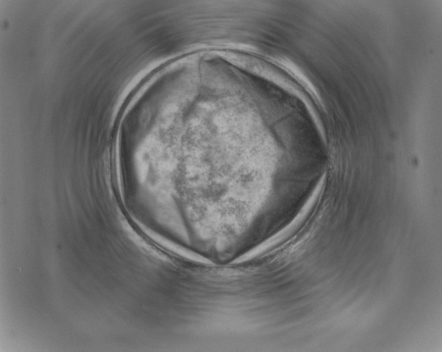 X0000074041100200609111733