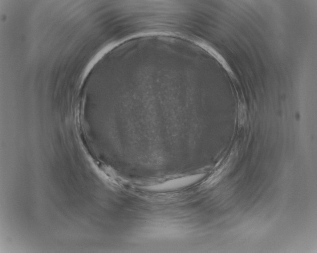 X0000074041101200609111733