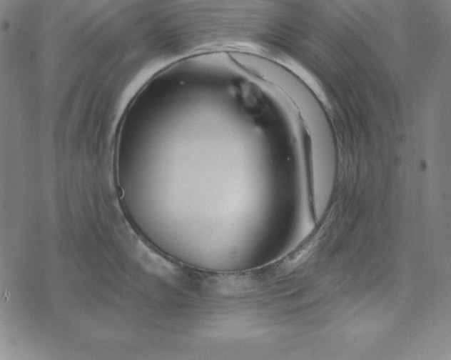 X0000074041102200609111733