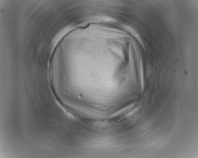 X0000074041103200609111733