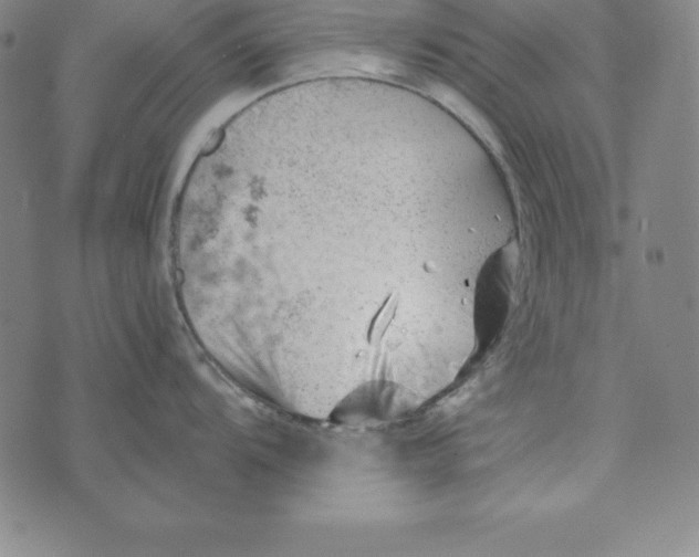 X0000074041104200609111733