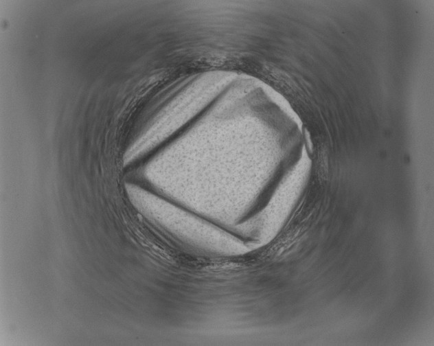 X0000074041105200609111732