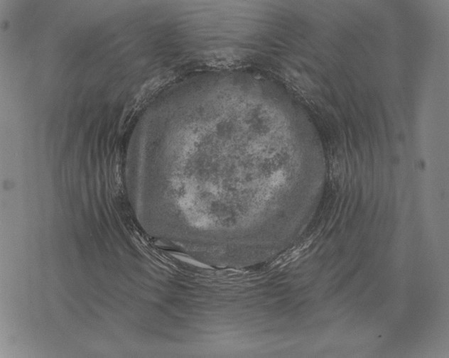 X0000074041106200609111732