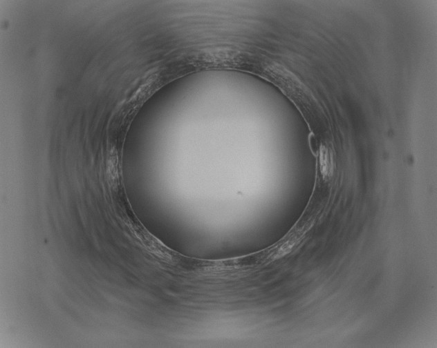 X0000074041107200609111732