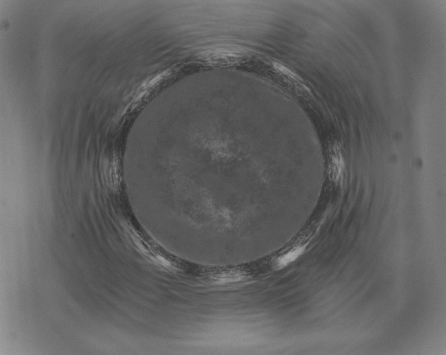 X0000074041108200609111732