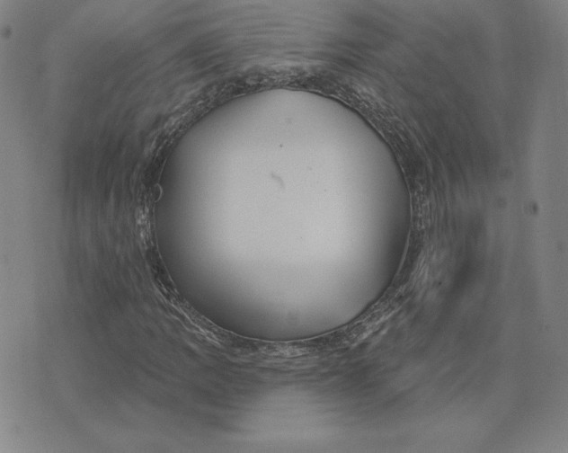 X0000074041109200609111732