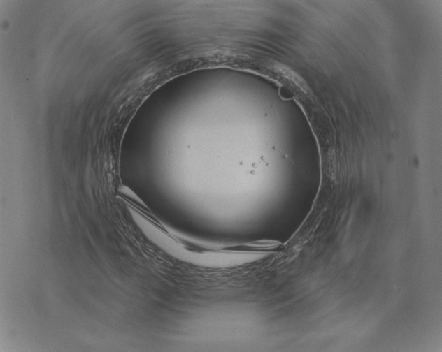 X0000074041111200609111732