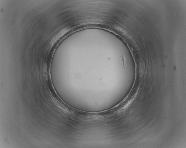 X0000074041113200609111732