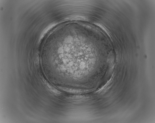 X0000074041115200609111732