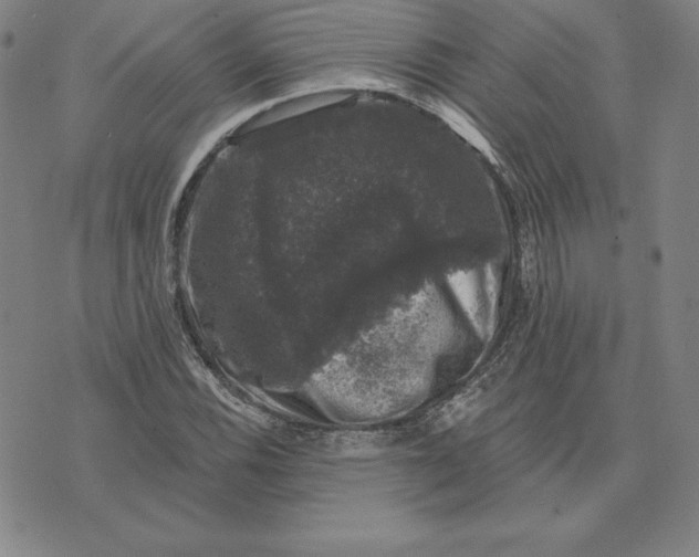 X0000074041116200609111732