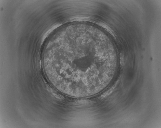 X0000074041117200609111732