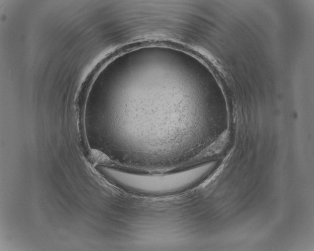 X0000074041118200609111732