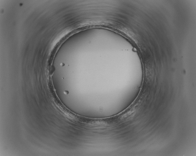 X0000074041119200609111732