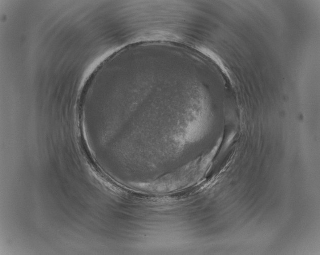 X0000074041120200609111732