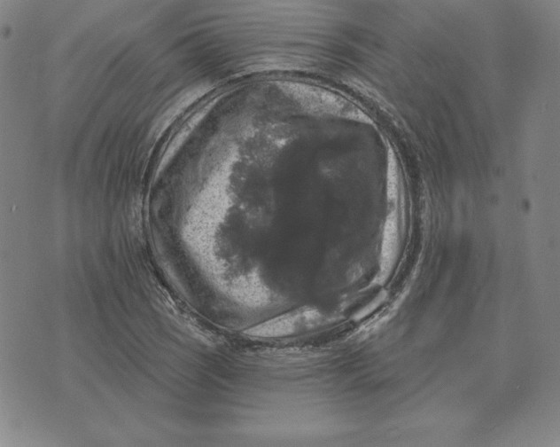 X0000074041121200609111732