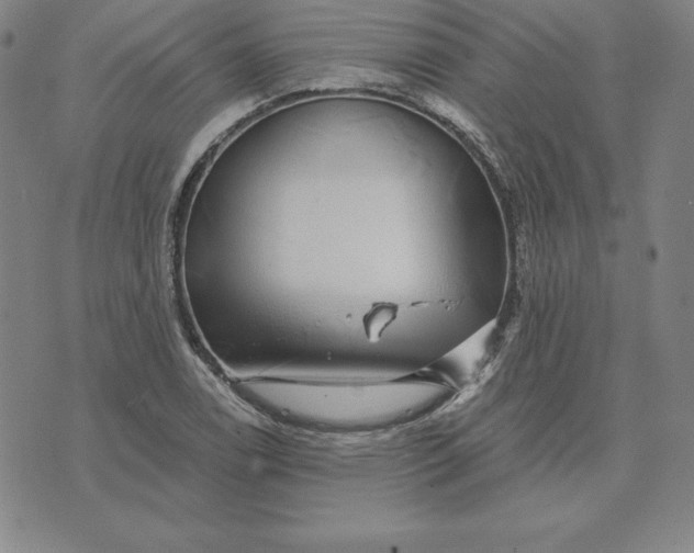 X0000074041122200609111732