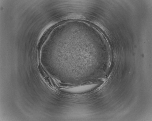 X0000074041123200609111732