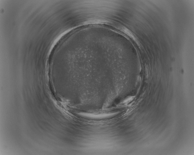 X0000074041124200609111732