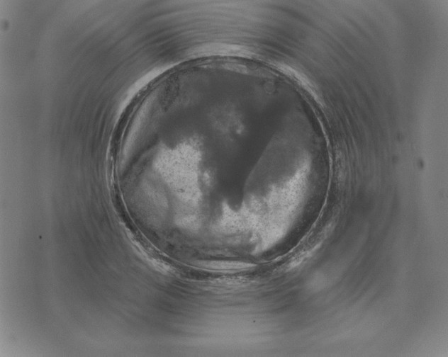 X0000074041125200609111732