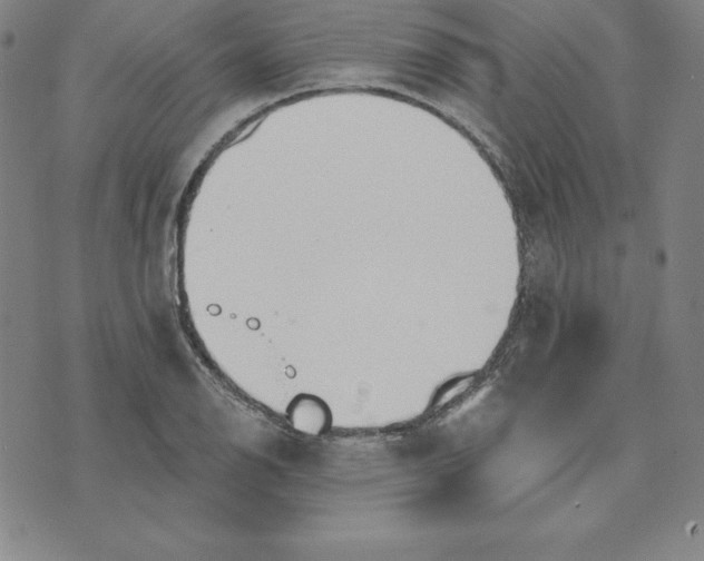 X0000074041126200609111732