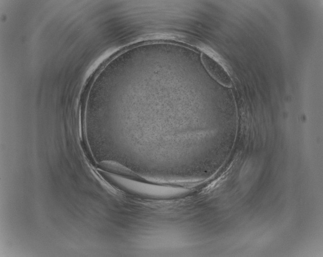 X0000074041127200609111732