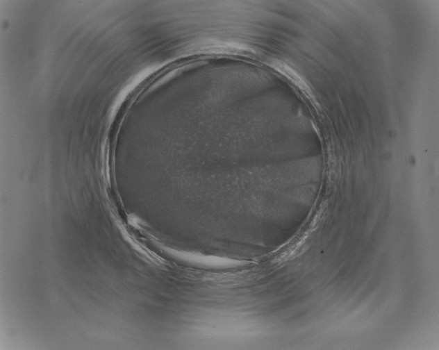 X0000074041128200609111732