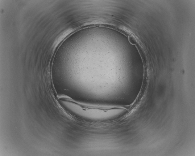 X0000074041129200609111732