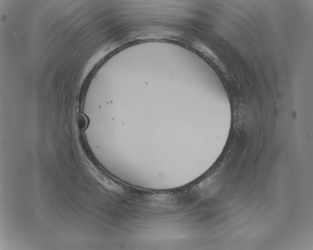 X0000074041130200609111732