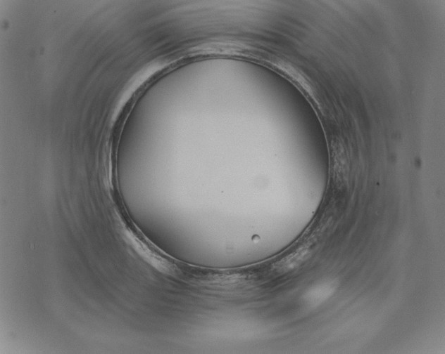 X0000074041131200609111732