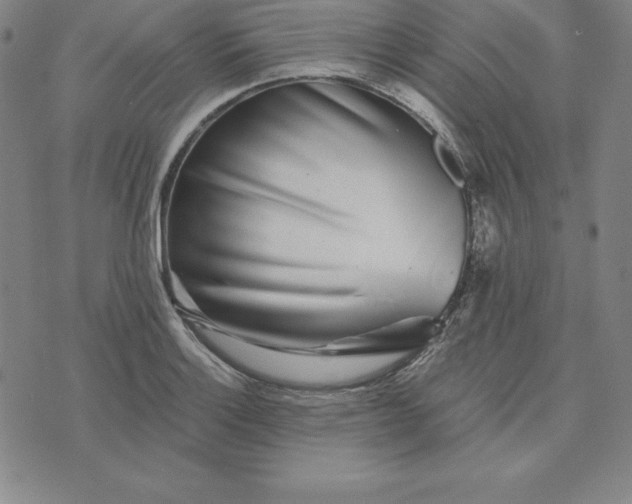 X0000074041132200609111732