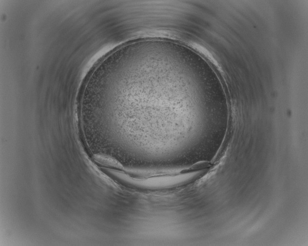 X0000074041133200609111732