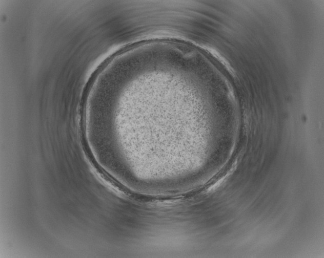 X0000074041134200609111732