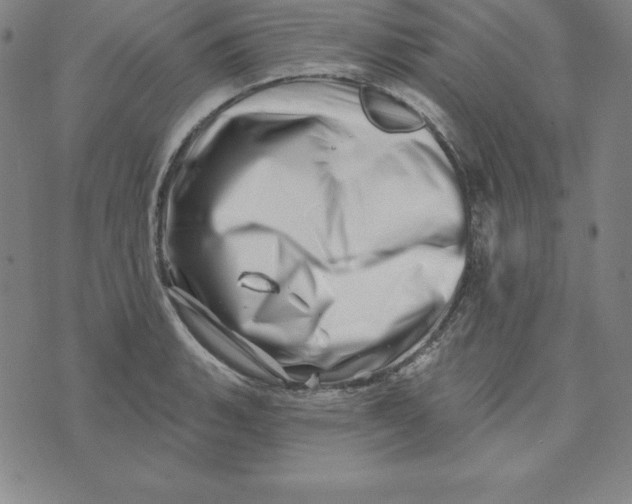 X0000074041135200609111732