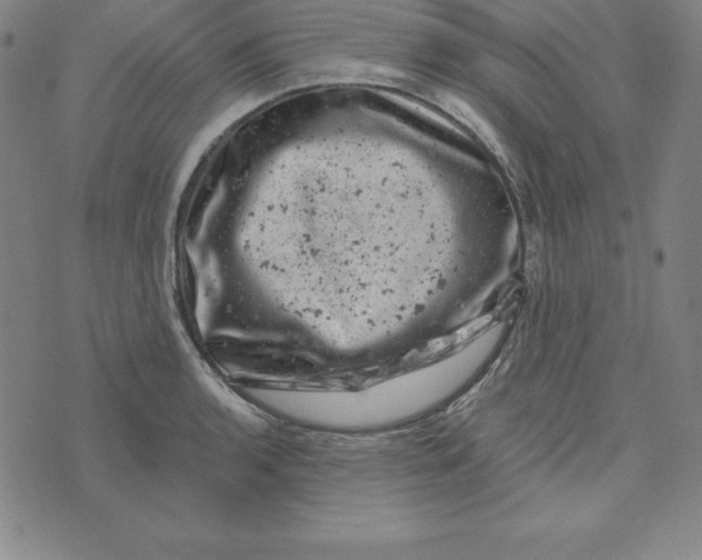 X0000074041136200609111732