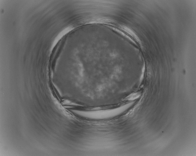 X0000074041138200609111732