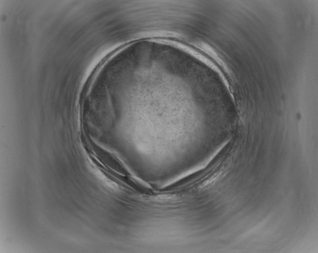 X0000074041140200609111732