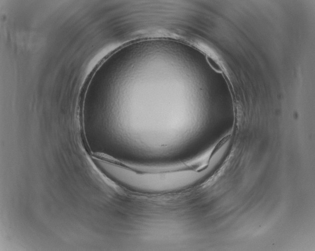 X0000074041141200609111732