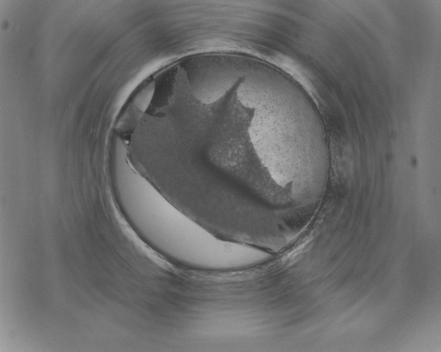 X0000074041142200609111732