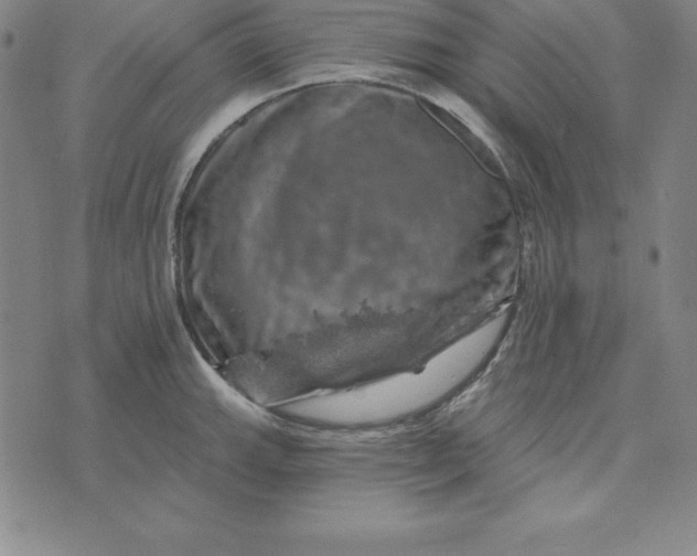 X0000074041143200609111732