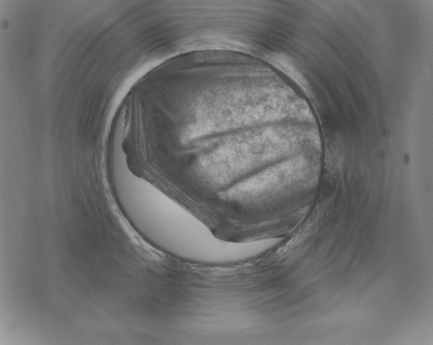 X0000074041144200609111732